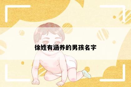 徐姓有涵养的男孩名字