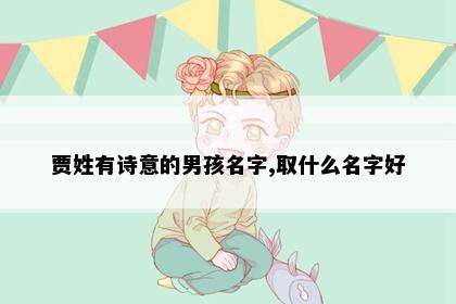 贾姓有诗意的男孩名字,取什么名字好