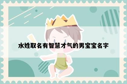 水姓取名有智慧才气的男宝宝名字