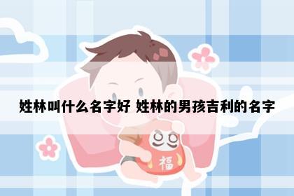 姓林叫什么名字好 姓林的男孩吉利的名字
